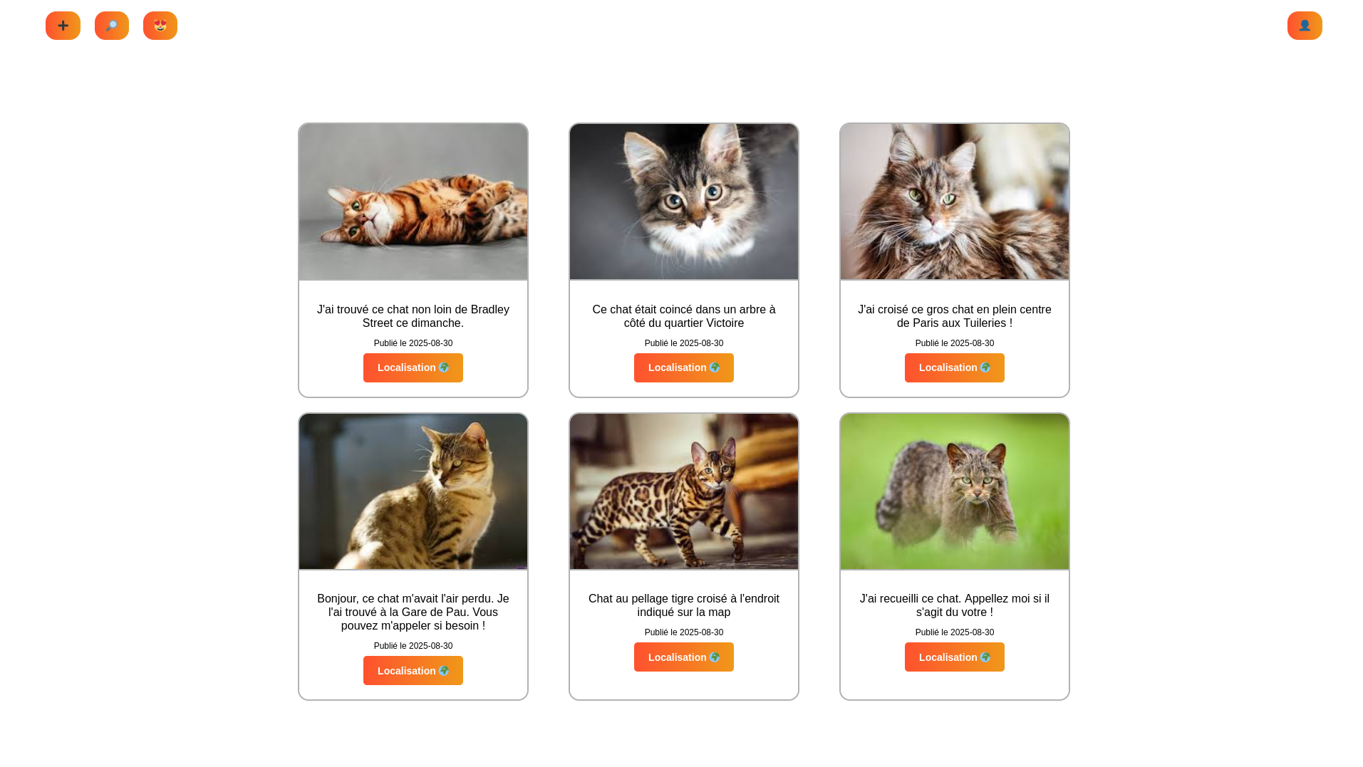 CatFinder